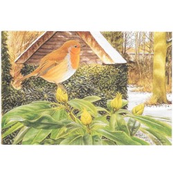 Rougegorge familier - Carte de correspondance - François Desbordes