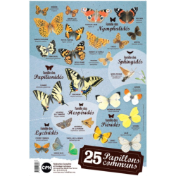 Affiche CPN « 25 papillons communs »
