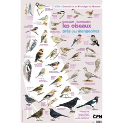Affiche CPN « Les oiseaux près des mangeoires »