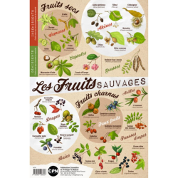 Affiche CPN « Les fruits sauvages »