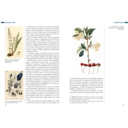 Histoire de la Botanique Histoire de la Botanique