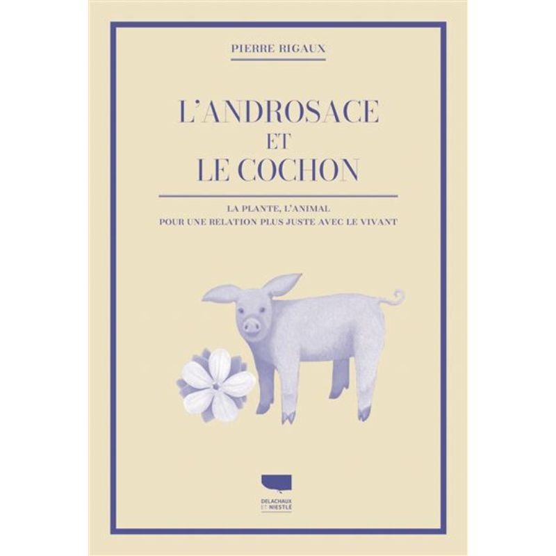 L'Androsace et le cochon