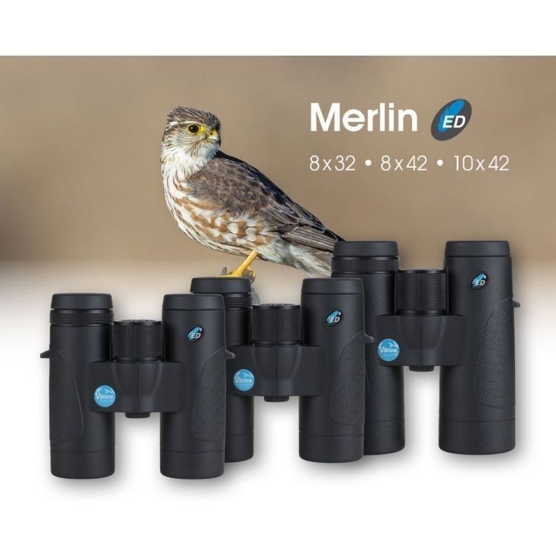 Viking Merlin ED 10x42 - Jumelles