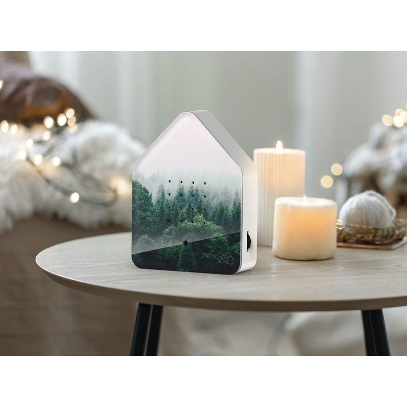 Boîte à sons "Zwitscherbox Forêt matinale"