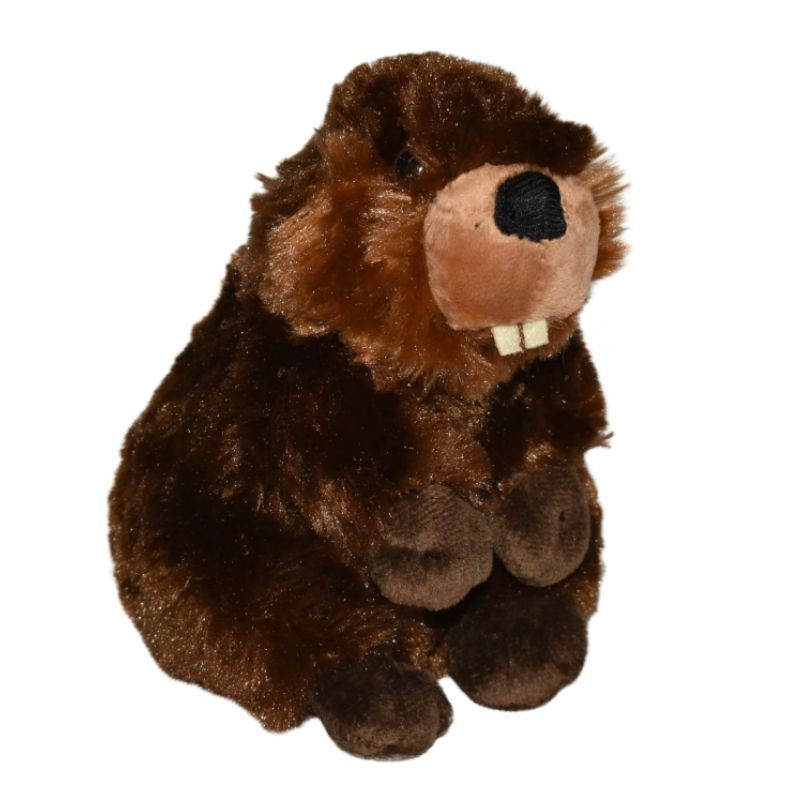 Castor Ecokins - Peluche 20 cm