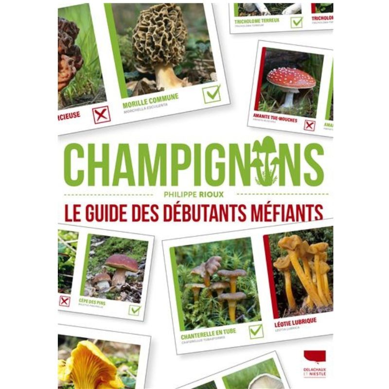Champignons - Le Guide des débutants méfiants