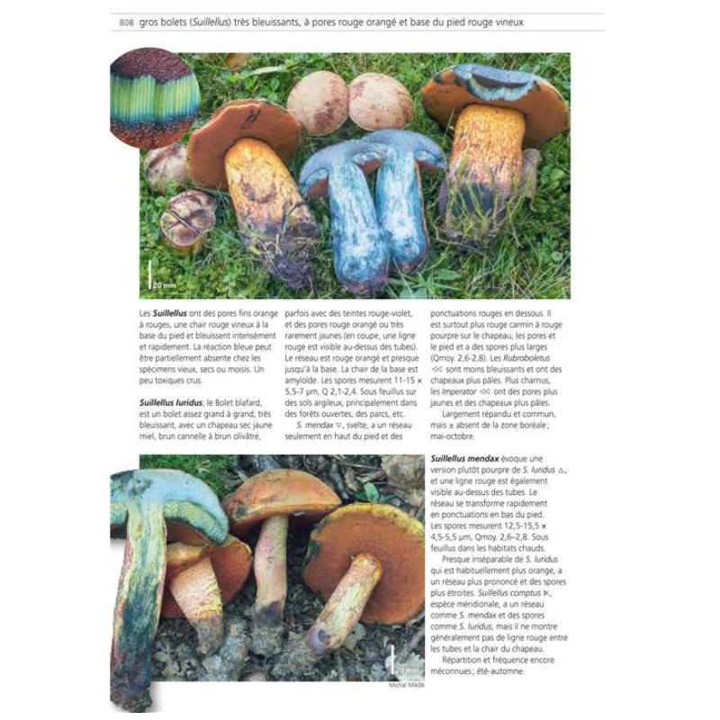 Les champignons d'Europe tempérée - 2 volumes - 2ème Edition Les champignons d'Europe tempérée - 2 volumes - 2ème Edition