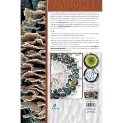 Les champignons d'Europe tempérée - 2 volumes - 2ème Edition Les champignons d'Europe tempérée - 2 volumes - 2ème Edition