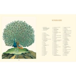 Histoire naturelle des oiseaux de buffon et martinet Histoire naturelle des oiseaux de buffon et martinet