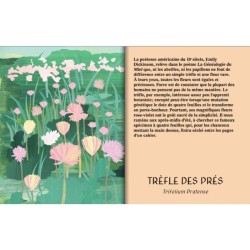 Sur la piste des herbes sauvages Sur la piste des herbes sauvages