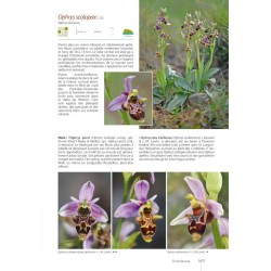 Guide Expert des Plantes de Méditerranée - Des Albères à la Riviera