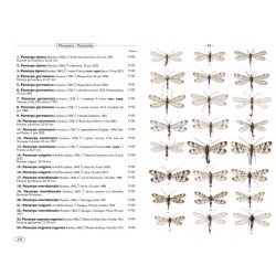 Névropteroïdes d'Europe - Névroptères, Trichoptères, Plécoptères...