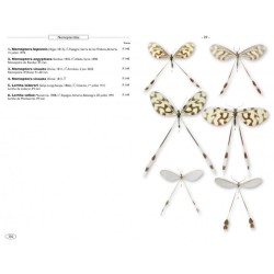 Névropteroïdes d'Europe - Névroptères, Trichoptères, Plécoptères...