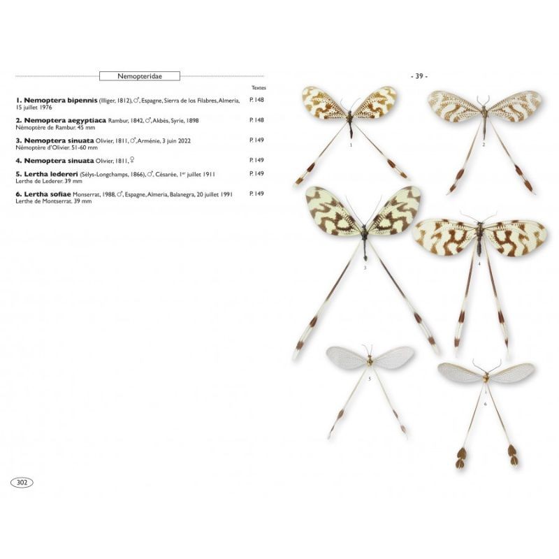 Névropteroïdes d'Europe - Névroptères, Trichoptères, Plécoptères...