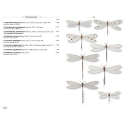 Névropteroïdes d'Europe - Névroptères, Trichoptères, Plécoptères...