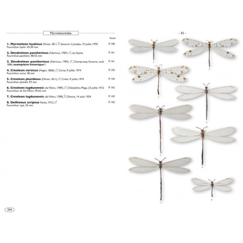 Névropteroïdes d'Europe - Névroptères, Trichoptères, Plécoptères...