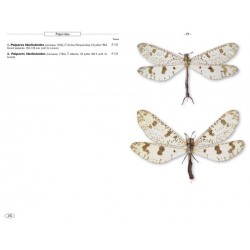 Névropteroïdes d'Europe - Névroptères, Trichoptères, Plécoptères...