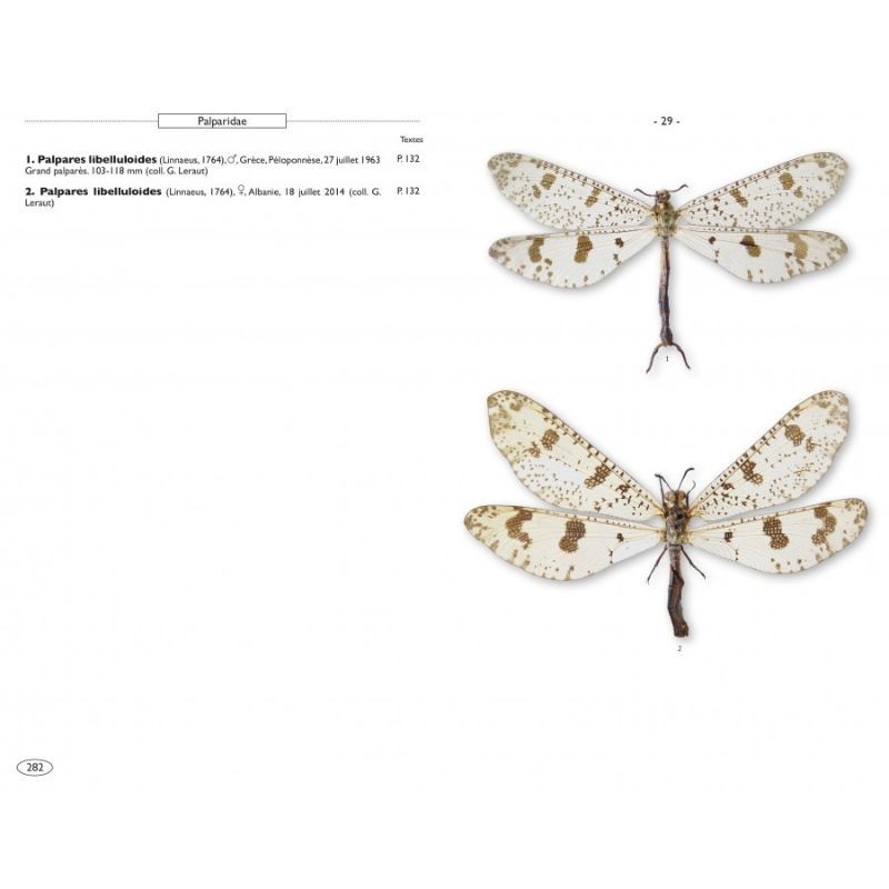 Névropteroïdes d'Europe - Névroptères, Trichoptères, Plécoptères...