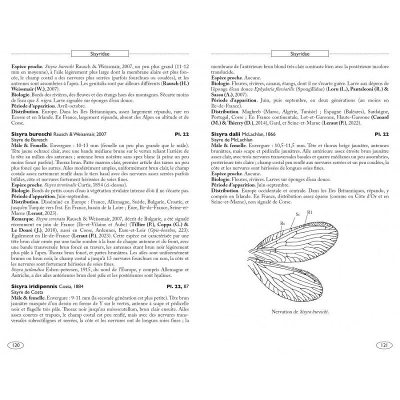 Névropteroïdes d'Europe - Névroptères, Trichoptères, Plécoptères...