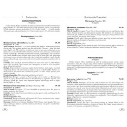 Névropteroïdes d'Europe - Névroptères, Trichoptères, Plécoptères...