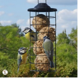 Mangeoire "A table" - Pour cylindres ou boules de graisse Mangeoire "A table" - Pour cylindres ou boules de graisse