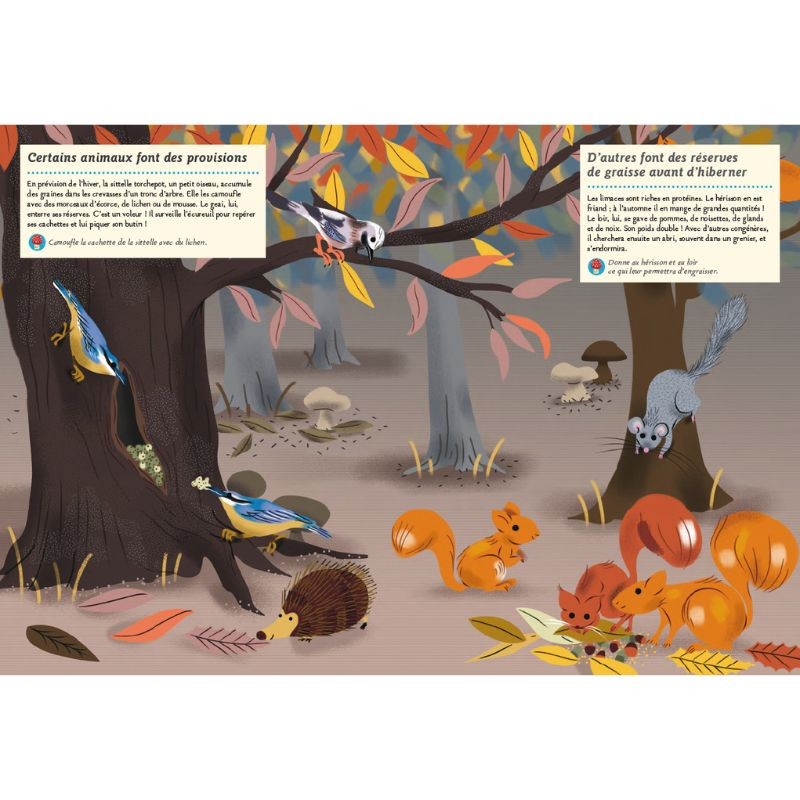 Faune et flore de l’automne - Mon cahier nature Faune et flore de l’automne - Mon cahier nature