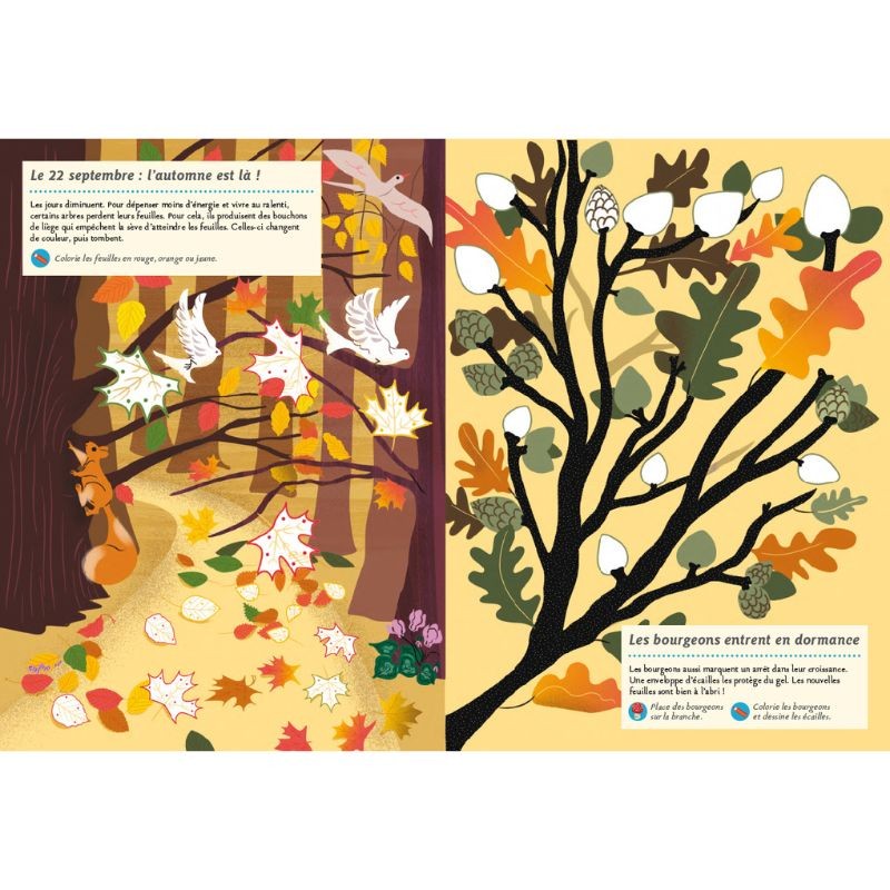 Faune et flore de l’automne - Mon cahier nature Faune et flore de l’automne - Mon cahier nature