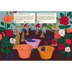 Faune et flore de l’automne - Mon cahier nature Faune et flore de l’automne - Mon cahier nature