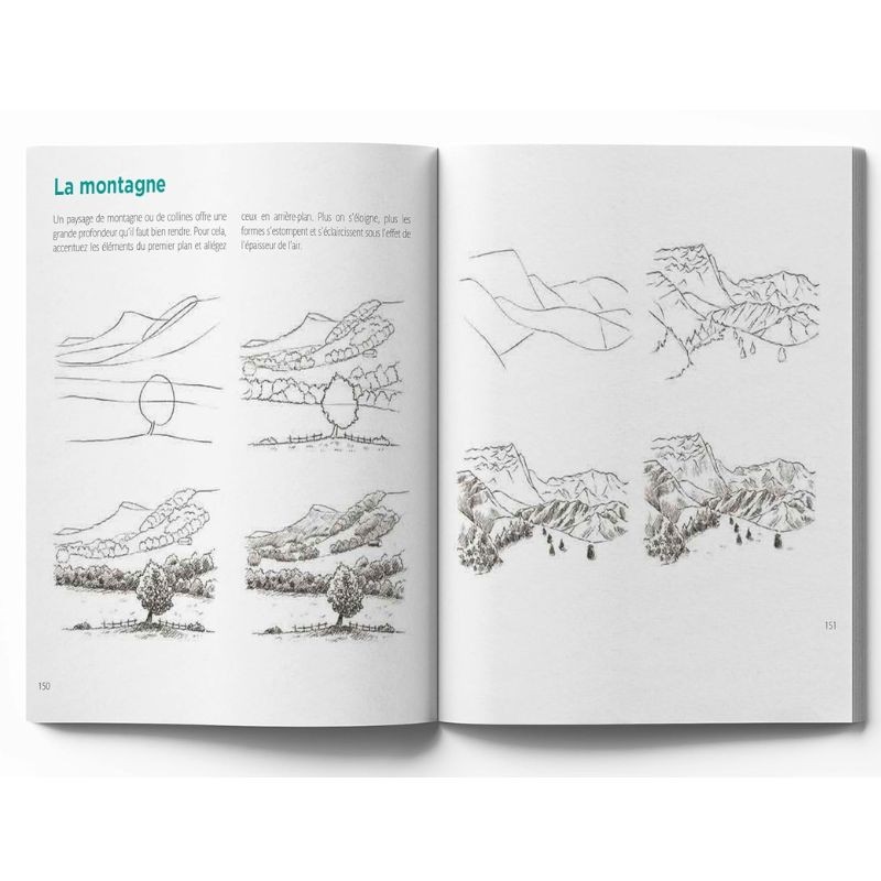 Le dessin facile nature - Toutes les clés et de nombreux modèles ! Le dessin facile nature - Toutes les clés et de nombreux modèles !