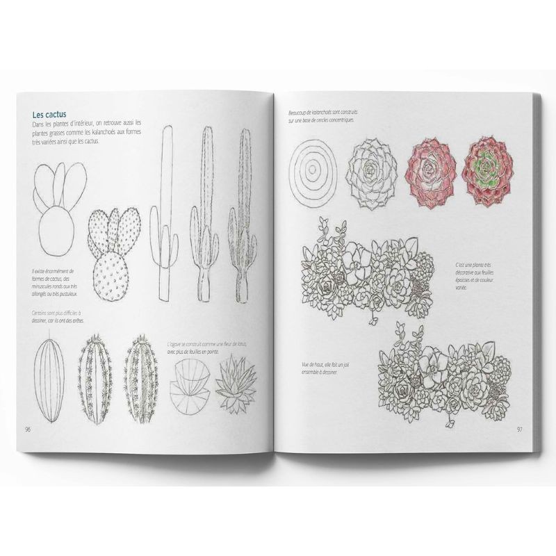 Le dessin facile nature - Toutes les clés et de nombreux modèles ! Le dessin facile nature - Toutes les clés et de nombreux modèles !