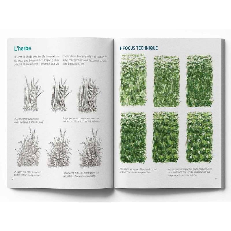 Le dessin facile nature - Toutes les clés et de nombreux modèles ! Le dessin facile nature - Toutes les clés et de nombreux modèles !