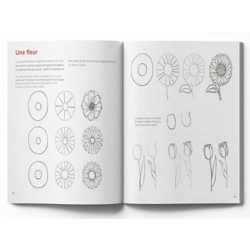 Le dessin facile nature - Toutes les clés et de nombreux modèles ! Le dessin facile nature - Toutes les clés et de nombreux modèles !