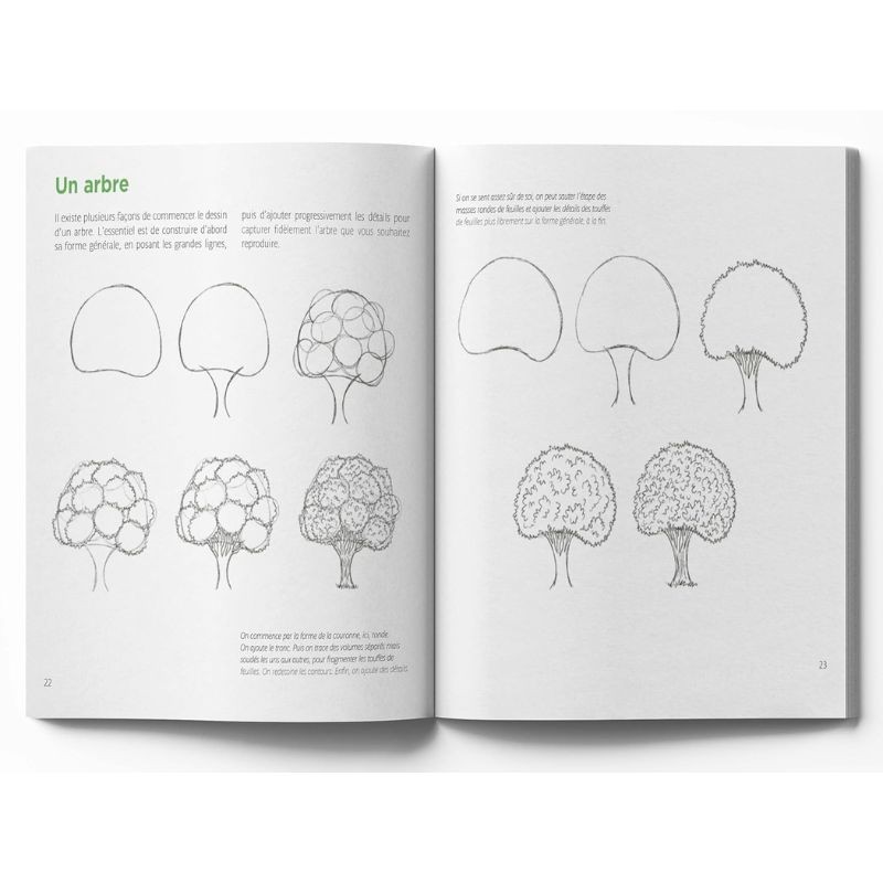 Le dessin facile nature - Toutes les clés et de nombreux modèles ! Le dessin facile nature - Toutes les clés et de nombreux modèles !