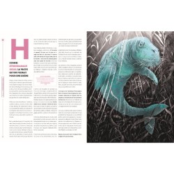 D comme disparu - 26 espèces animales que vous ne reverrez (sans doute) jamais