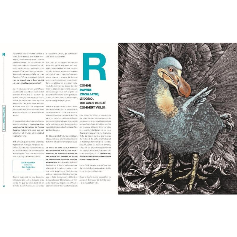 D comme disparu - 26 espèces animales que vous ne reverrez (sans doute) jamais