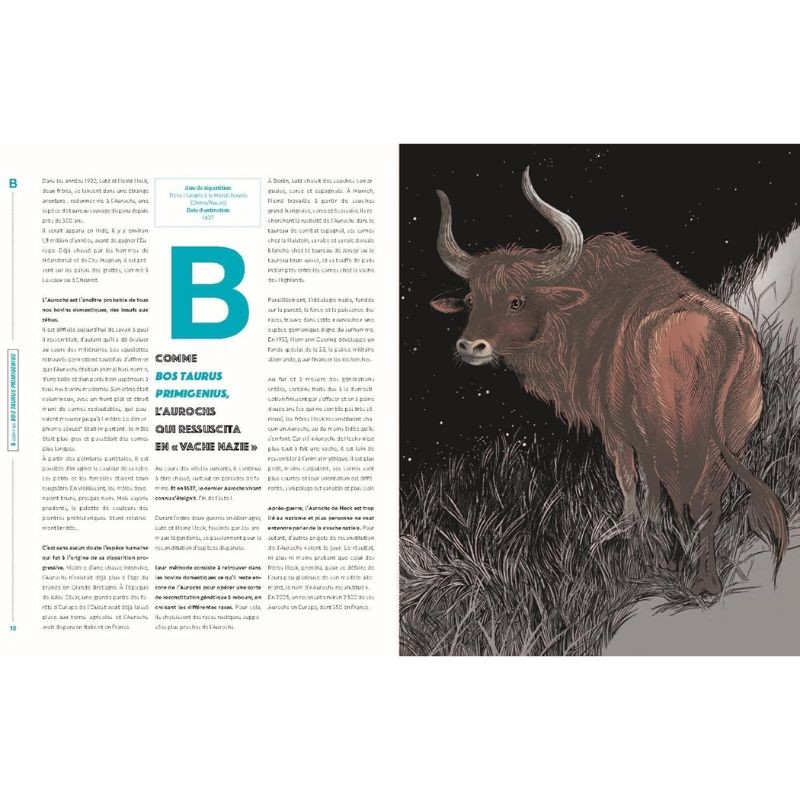 D comme disparu - 26 espèces animales que vous ne reverrez (sans doute) jamais