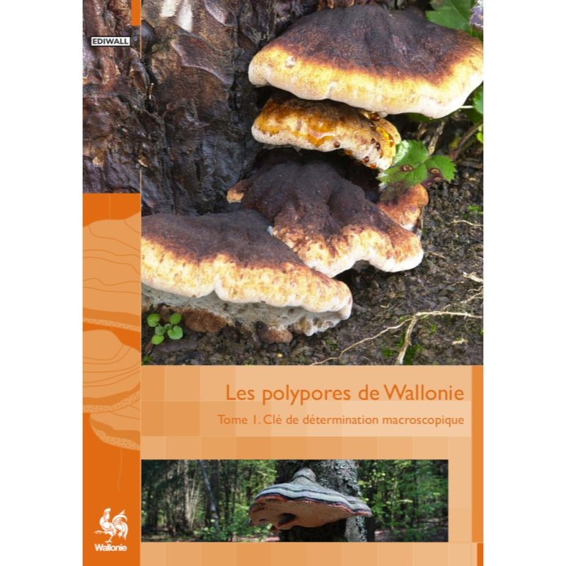 Les polypores de Wallonie - Tome 1- Clé de détermination macroscopique - Faune - Flore - Habitats 10