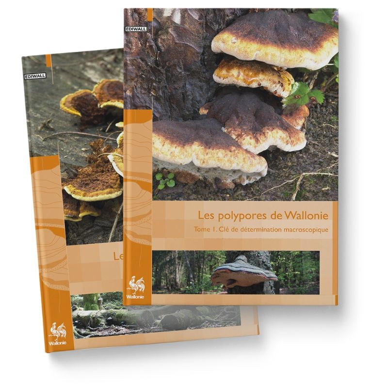 Les polypores de Wallonie - Tome 2 - Catalogue des espèces - Faune - Flore - Habitats 10 -