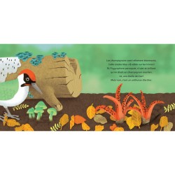 Les P'tits Champignons