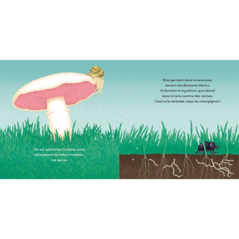 Les P'tits Champignons