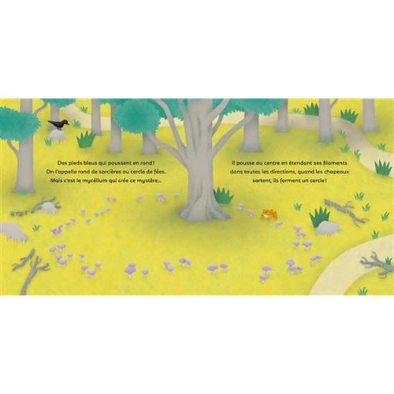 Les P'tits Champignons