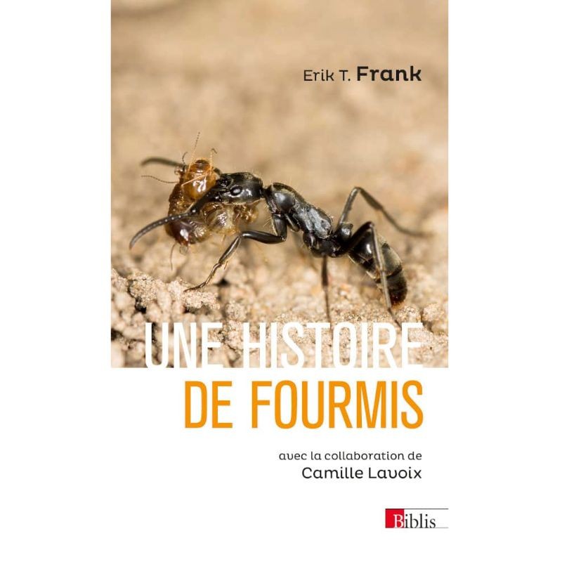 Une histoire de fourmis