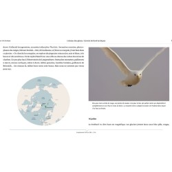 L'oiseau des glaces - Carnets de bord arctiques L'oiseau des glaces - Carnets de bord arctiques