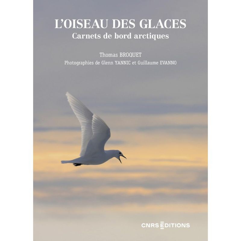 L'oiseau des glaces - Carnets de bord arctiques L'oiseau des glaces - Carnets de bord arctiques