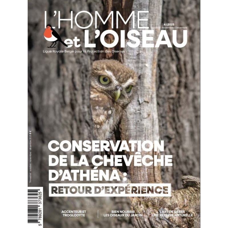 Revue L'Homme et l'Oiseau - Conservation de la chevêche d'Athéna - 4/2025
