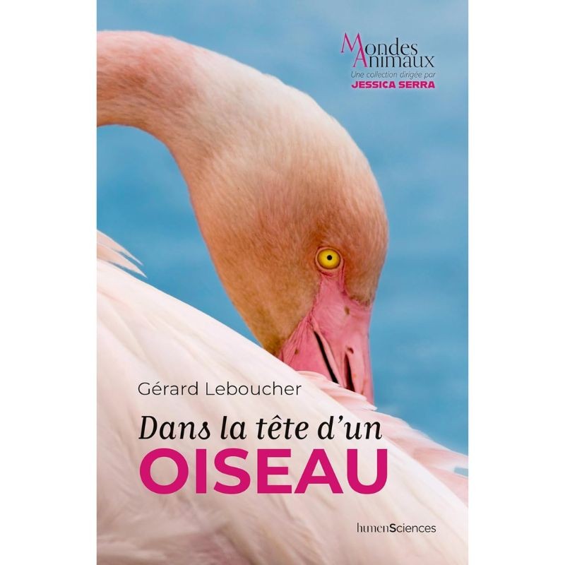 Dans la tête d'un oiseau Dans la tête d'un oiseau