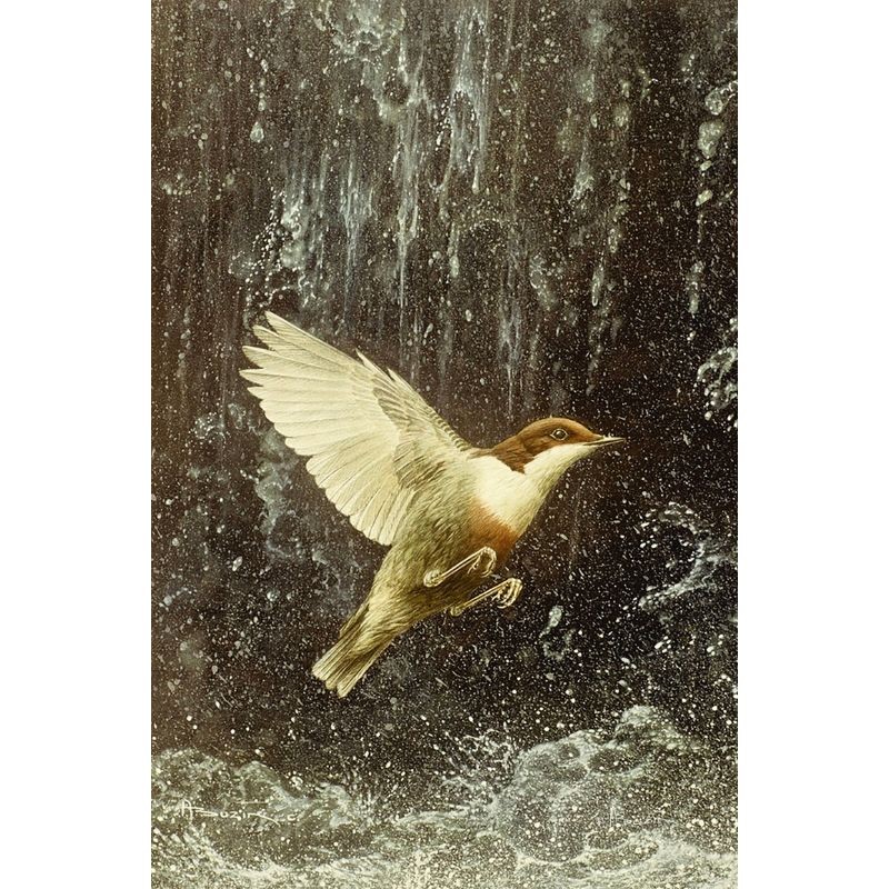 5 cartes de correspondance - Série 13 (Buzin)