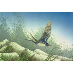 5 cartes de correspondance - Série 13 (Buzin)