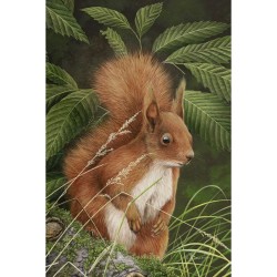 5 cartes de correspondance - Série 13 (Buzin)