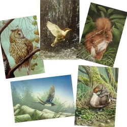 5 cartes de correspondance - Série 13 (Buzin)